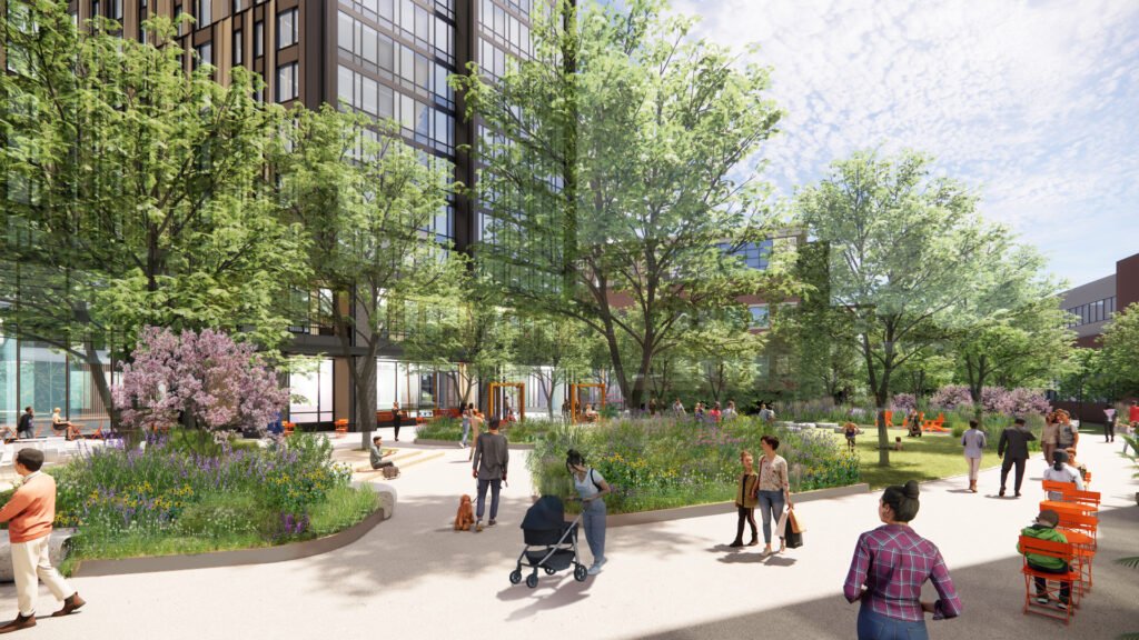 Cbt 75 Morrissey Lawn Rendering